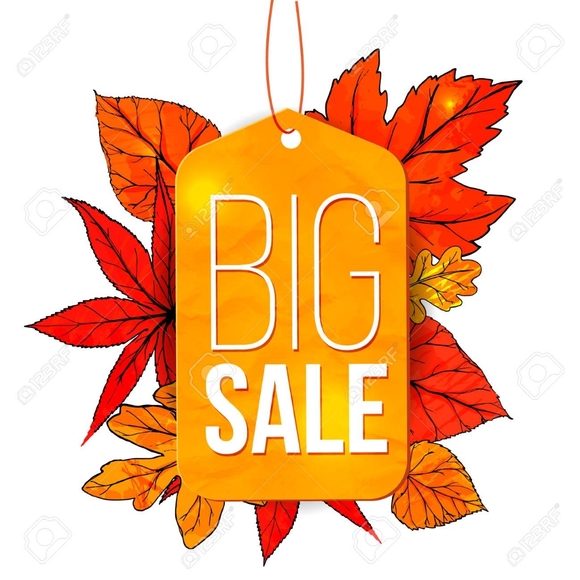 Meet your Posher, Ashton - Picture 3 of 3